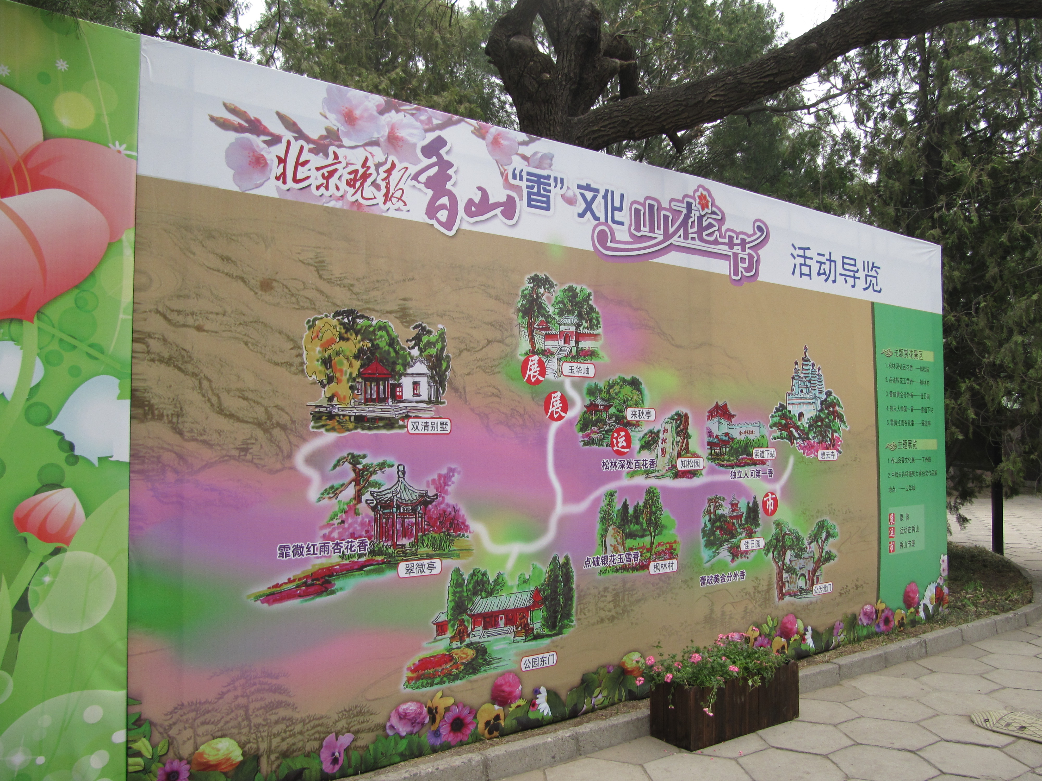 Mountain Flower Festival 