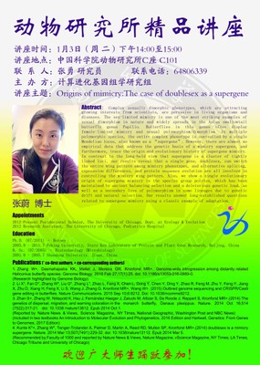Invited Speaker：Wei Zhang